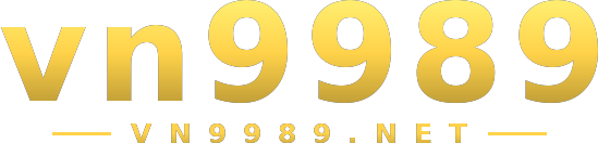 vn9989 logo